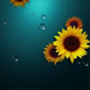 Meet your Posher, Diaz